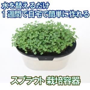 中型メール便 1通(1個まで)あたり300円 ス...の商品画像
