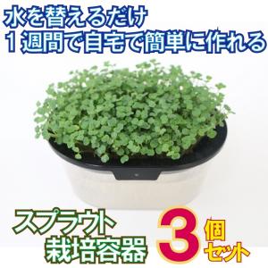 大型メール便 1通(1セットまで)520円 お得な3個セット スプラウト専用栽培容器 おうちでベジ ブラック かいわれ栽培タイプ Ｓ栽培黒