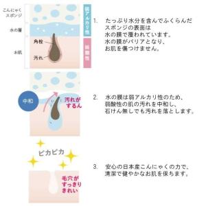 メール便Y 送料無料 まとめ買いがお得! こん...の詳細画像2