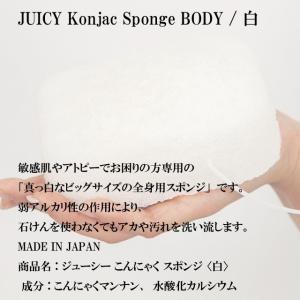 メール便Y 送料無料 まとめ買いがお得! こん...の詳細画像4