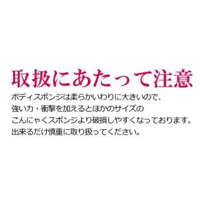 メール便Y 送料無料 まとめ買いがお得! こん...の詳細画像5
