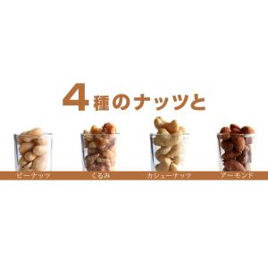 メール便Y 1通(4袋まで)210円 ナッツフ...の詳細画像1