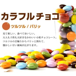 メール便Y 1通(4袋まで)210円 ナッツフ...の詳細画像2