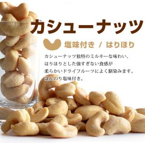 メール便Y 1通(4袋まで)210円 ナッツフ...の詳細画像5