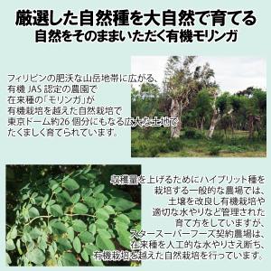 メール便Y 送料無料 有機 モリンガ タブレッ...の詳細画像2