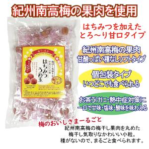 メール便Y 1通(2袋まで)210円 はちみつ...の詳細画像1
