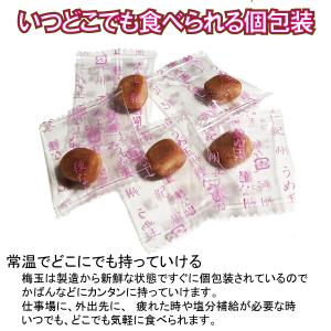 メール便Y 1通(2袋まで)210円 はちみつ...の詳細画像3