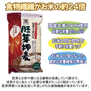 メール便Y 1通(1袋まで)210円 胚芽 押...の詳細画像1