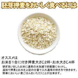 メール便Y 1通(1袋まで)210円 胚芽 押...の詳細画像2
