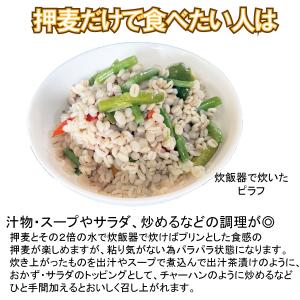 メール便Y 1通(1袋まで)210円 胚芽 押...の詳細画像3