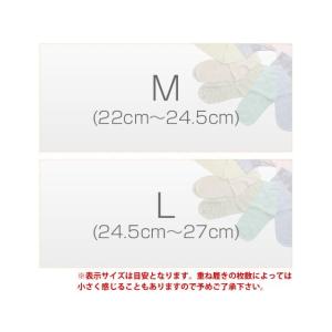 正活絹 JN ウール5本指靴下 Lサイズの詳細画像1
