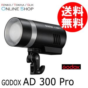 Godox ゴドックス 受注生産 AD300 Pro