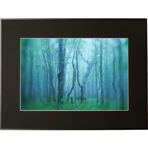 即配 Kenko ギャラリー A3ノビ ブラック AGY-A3N-BK ケンコートキナー KENKO TOKINA