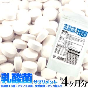 タイムセール!! メガ盛り★乳酸菌サプリメントどっさり約4ヶ月分送料無料/メール便