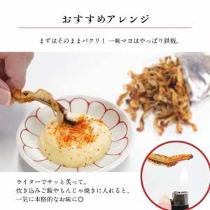 ほたて焼き貝ひも 150g 送料無料 帆立 か...の詳細画像4