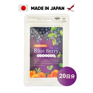 ブルーベリー 40粒 1袋 製薬会社が開発したサプリメント