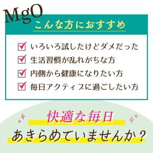 酸化マグネシウム サプリ 渡邊薬品 マグネシウ...の詳細画像5