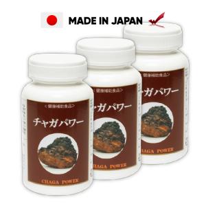 パクパク酵母くん 31袋入り 3箱 糖質 3種の酵母 酵母 サプリ ぱくぱく