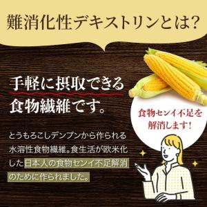 難消化性 デキストリン 渡邊薬品 サプリ 食物...の詳細画像2