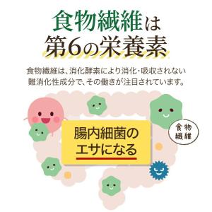 難消化性 デキストリン 渡邊薬品 サプリ 食物...の詳細画像3