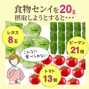 難消化性 デキストリン 渡邊薬品 サプリ 食物...の詳細画像4