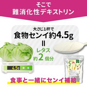 難消化性 デキストリン 渡邊薬品 サプリ 食物...の詳細画像5