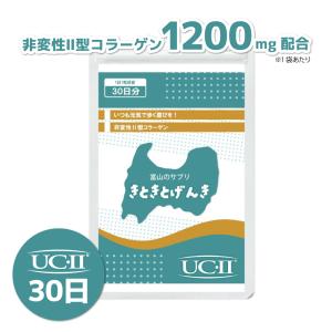 送料込 世田谷自然食品 グルコサミン＋コンドロイチン 240粒×3本