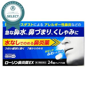 ローリン鼻炎錠ＥＸの商品画像
