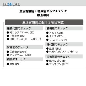 [13項目]栄養状態・肝機能・脂質代謝・血糖・...の詳細画像1