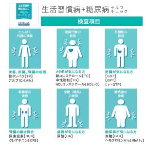 [13項目]栄養状態・肝機能・脂質代謝・血糖・...の詳細画像2