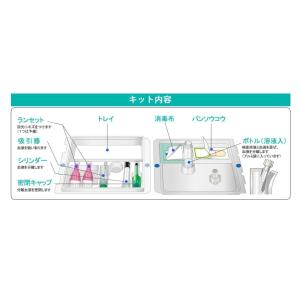 [13項目]栄養状態・肝機能・脂質代謝・血糖・...の詳細画像5
