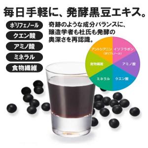 麹発酵黒大豆搾り720ml×9本セット 堤酒造...の詳細画像1