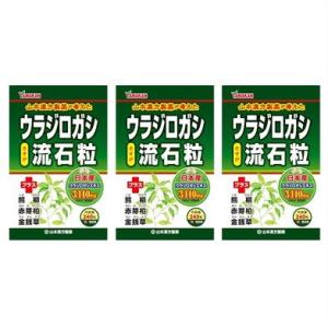 送料無料メール便 ［3個セット］ウラジロガシ流石粒　240粒入り×３個 ・メール便にて発送致します