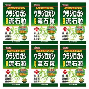 送料無料 ★［まとめ販売］ウラジロガシ流石粒　240粒入り×６個 ●翌日配達「あすつく」対象商品（休業日を除く）●｜kenkou1bankan