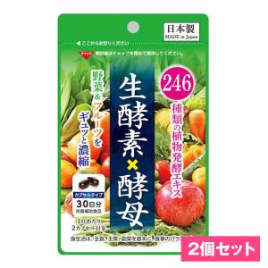 酵素 サプリ 246種類の野菜とフルーツ　生酵素×酵母 乳酸菌 2個セット 120粒入 約60日分 ダイエット 美容 美肌 スタイルメイク 生活習慣  サプリ｜kenkoubi-03