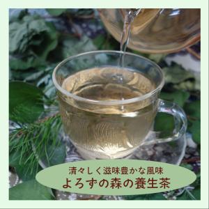 よろずの森の養生茶 20g Lush Fore...の詳細画像2