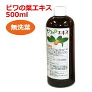 あすつく対応】6ケ月以上熟成 無農薬ビワの葉エキス（洗葉）500ml 健康
