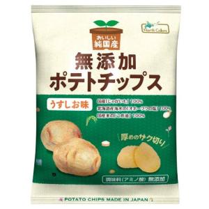 純国産ポテトチップス・うすしお味 55g 【ノー...の商品画像