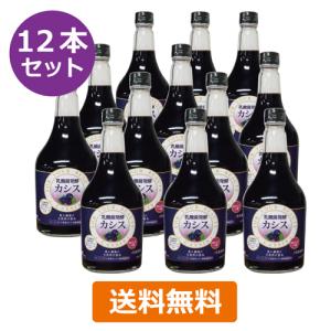醗酵カシス（飲料） （565ml×3本セット） 【ジャフマック】※送料無料