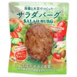 サラダバーグ （90g） 【茂木食品工業】