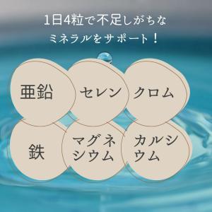 マルチミネラル サプリ 1ヵ月分 1袋 サプリ...の詳細画像1