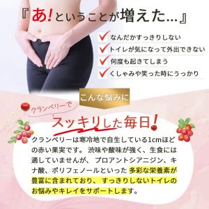 クランベリー サプリメント 3ヶ月分 3袋 サ...の詳細画像1
