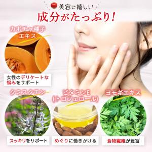 クランベリー サプリメント 3ヶ月分 3袋 サ...の詳細画像2