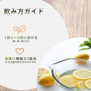 クランベリー サプリメント 3ヶ月分 3袋 サ...の詳細画像4