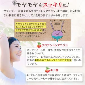 クランベリー サプリメント 3ヶ月分 3袋 サ...の詳細画像3