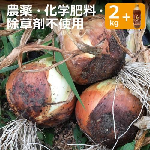【大阪茨木市産】農薬・化学肥料・除草剤不使用 玉ねぎ2kg+玉ねぎドレッシング 490ml ※送料無...