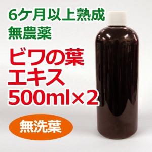 6ケ月以上熟成 無農薬ビワの葉エキス（無洗葉）500ml 【あすつく対応