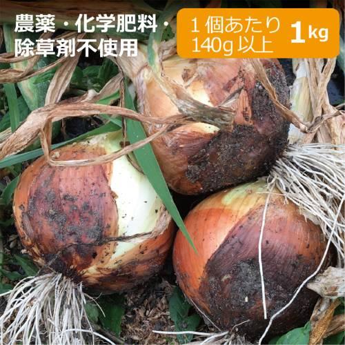 農薬・化学肥料・除草剤不使用　玉ねぎ 1kg ※玉ねぎのサイズは1個当たり140g以上混合【健康サポ...