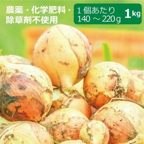 農薬・化学肥料・除草剤不使用　玉ねぎ 1kg ※玉ねぎのサイズは混合です【健康サポート農園】