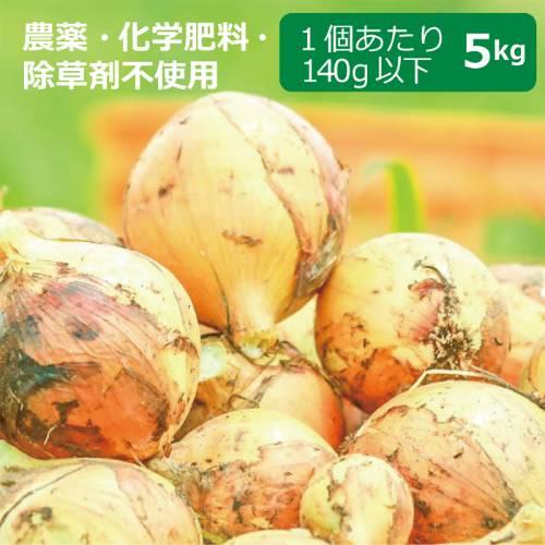 農薬・化学肥料・除草剤不使用　玉ねぎ 5kg ※玉ねぎのサイズは目安1個当たり140g以下 ※送料無...